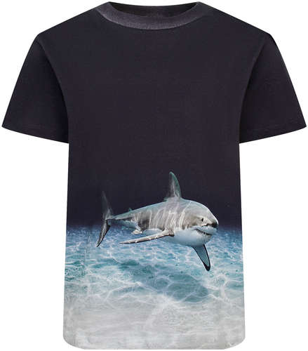 Футболка Molo 2744734 125150541