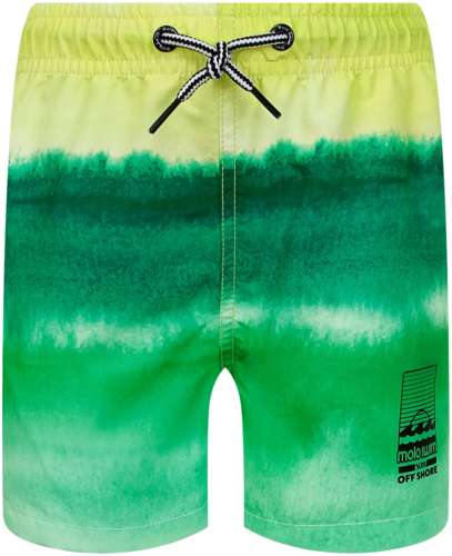 Шорты пляжные Molo 2635031 125156875