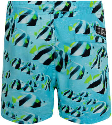 Шорты пляжные Molo 2527099 / 12548988 - вид 2