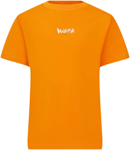 Футболка DISCLAIMER 2752105 125150765