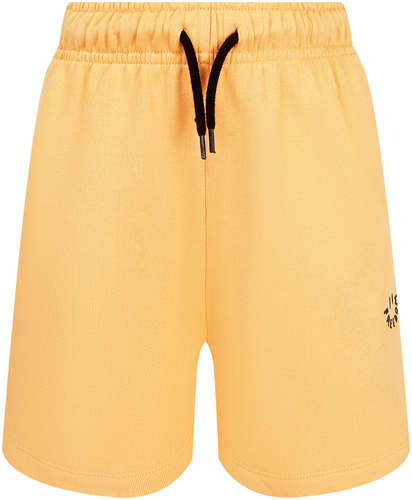 Шорты Molo 2777905 125152948