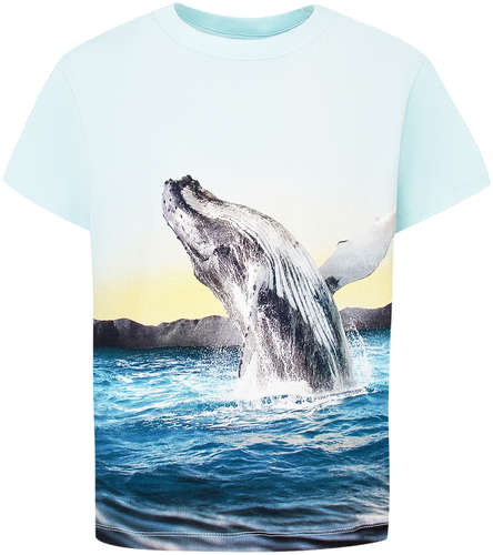 Футболка Molo 2777706 125152870