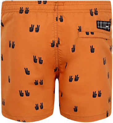 Шорты пляжные Molo 2430898 / 12517178 - вид 2