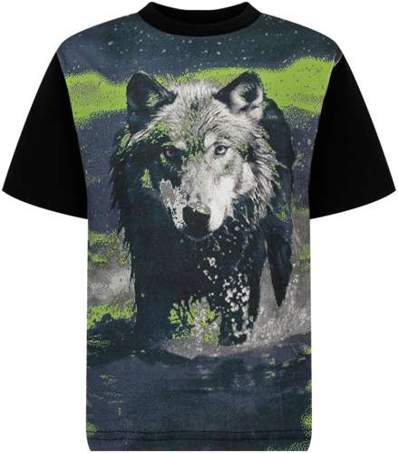 Футболка Diesel 3083543 125158695