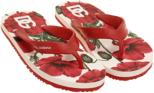 Шлепанцы пляжные Dolce & Gabbana 2543501 / 12560503