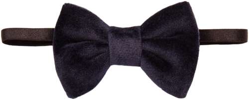 Бабочка Prairie 2791313 125145152