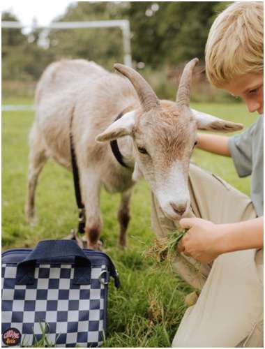 Сумка CARAMEL ET CIE 2994993 / 125146786 - вид 2