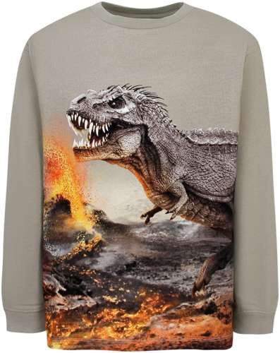 Лонгслив Molo 3047933 125155103