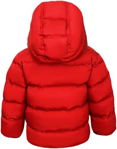 Куртка Dsquared2 3083721 / 125159622 - вид 2