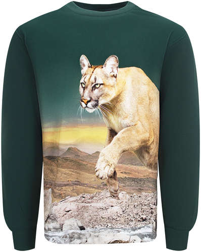 Лонгслив Molo 2692276 125130016