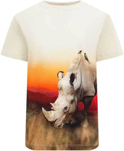 Футболка Molo 2692300 125130019