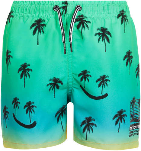 Шорты пляжные Molo 2561664 12567339