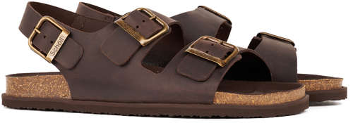 Мужские сандалии SCHOLL, коричневые 12736860