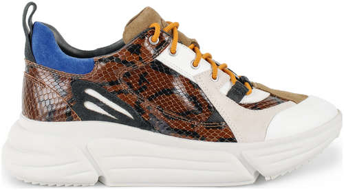 Женские кроссовки Clarks(Tricomet Lace 26155041), коричневые / 12737875 - вид 2